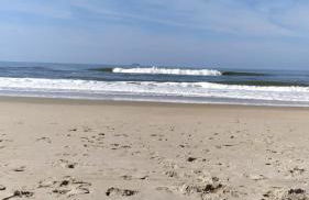 Apartamento perto do mar com garagem coberta em Praia de Leste - Foto 20