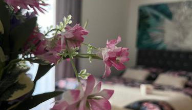 Apartament Nova Klonova - Foto 5