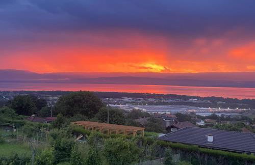 Une escale face au lac Léman - Photo 5