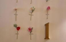 Iris la fleuriste - Foto 20