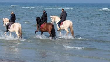 Oberdeck Ostsee - Foto 3