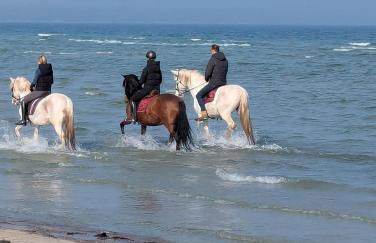 Oberdeck Ostsee - Foto 3