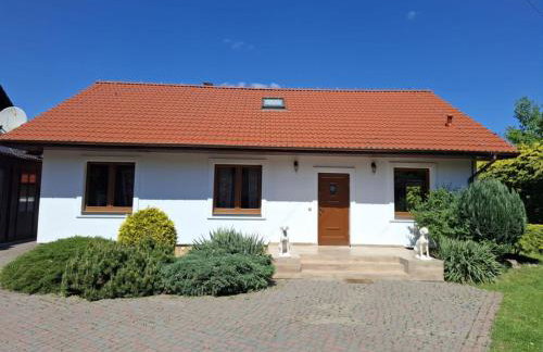 Biały Domek dla 6 osób oraz Domek Sternika dla 4 osób - jezioro, las, wiejski klimat - Foto 4