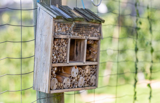 Holiday Home in Gersdorf Near a Swimming Lake - Foto 19
