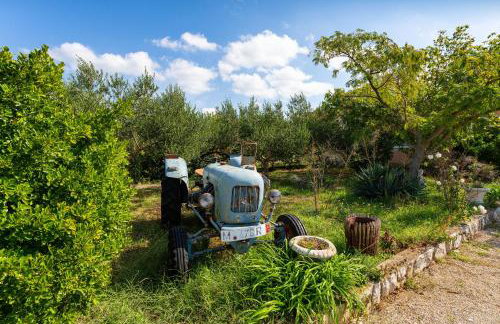 MY DALMATIA - Holiday home Nadalina with private pool and jacuzzi - Photo 46