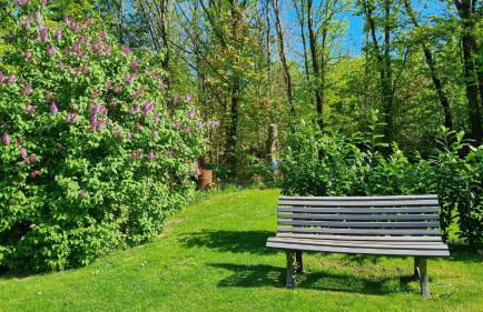 Ferienwohnung Sunnenviul - Foto 22