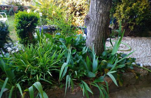 Le Gite de la Loire - Photo 77