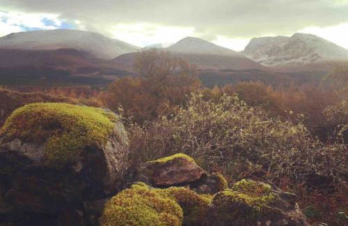 Wild Nurture Eco Luxury Offgrid Log Cabin - Foto 61