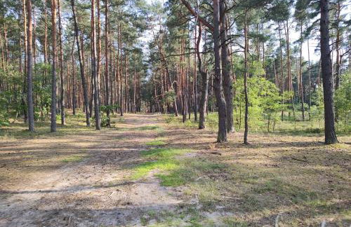 Augustówka - letnisko na Wrzosowiskach - Foto 9