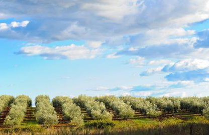 Apartments P&B - Foto 78