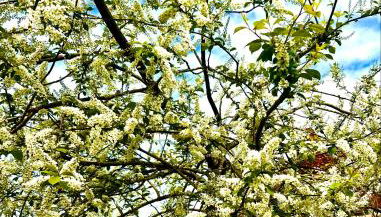 Manoir de La Barre Ceton - Foto 3