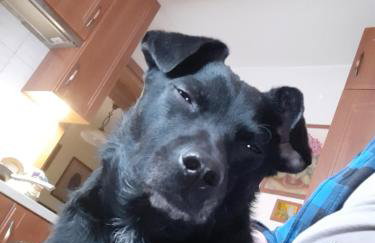 Apartamenty Nad Wisłą - Foto 8