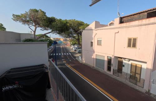 all ombra dei pini - Foto 3