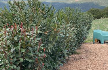 Résidence Patios di Pruno - Foto 15