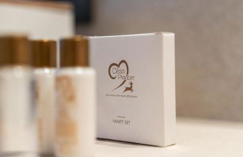 Dolomiti Luxury Mountain View SKI-IN SKI-OUT - Foto 33