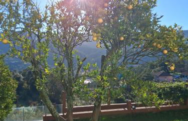 Solar do Sebolido - Foto 49