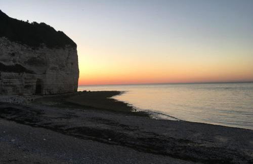 Le Mahonia - Foto 36