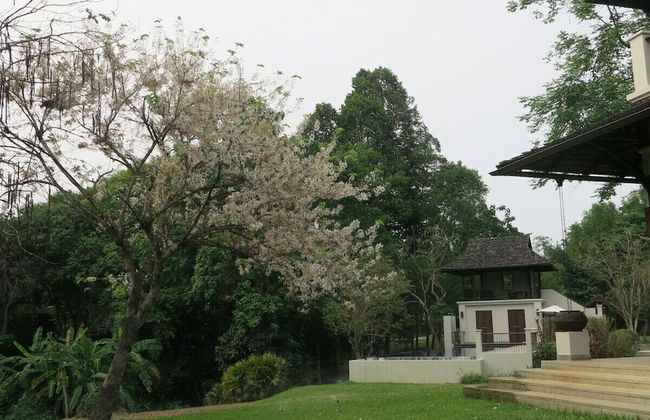 Suan Kaew Park - Photo 30