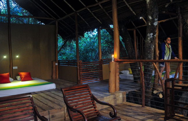 Back of Beyond - Dehigaha Ela - Photo 16