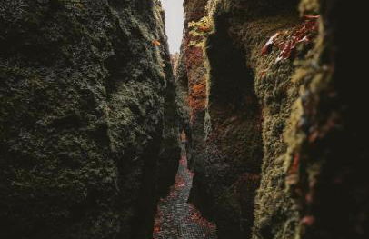 Vintage Home 55 Direkt am Fuße zur Wartburg - Foto 24