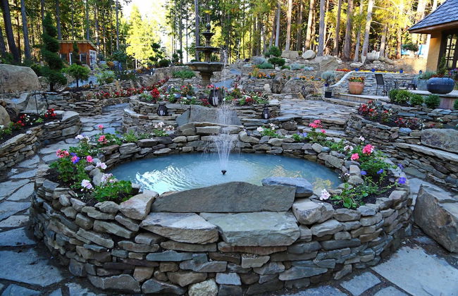 Stone Hearst - Foto 21