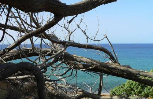 L'Oasi del Cervo - Foto 19