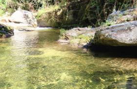 Sítio do Sossego - Foto 37