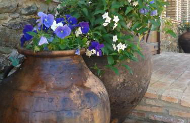 Finca El Chaparral - Foto 16