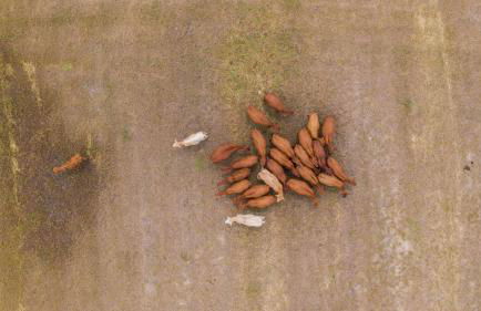 Quinta da Gafaria - Foto 14