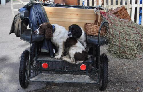 1 Bed in Lyndhurst oc-nfl60 - Foto 17