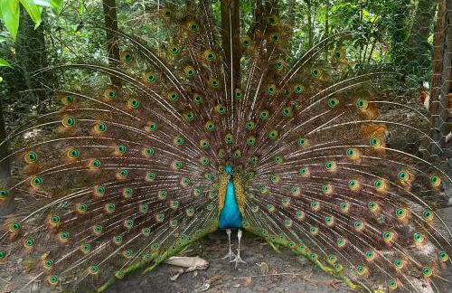 Apartamento Zion reserve suites - Photo 7