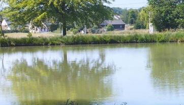 Petit chalet à la campagne - Foto 5