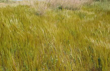 Agriturismo Corte Degli Ulivi - Foto 112