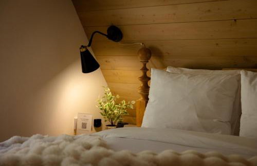 Haute Haus Aframe in Alma Colorado - Photo 6