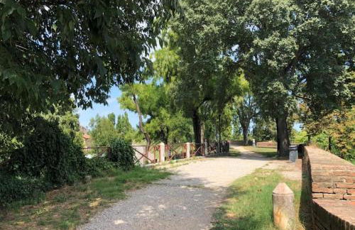 Il giardino segreto - Foto 43