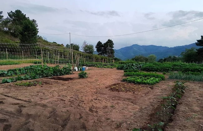 Agriturismo Sinciano - Foto 31