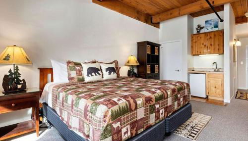 Mountain Inn Studio 94 with Wintergreen Advantage - Foto 4