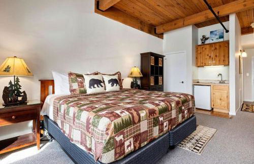 Mountain Inn Studio 94 with Wintergreen Advantage - Foto 4