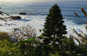 casa mo Tenerife - Foto 21