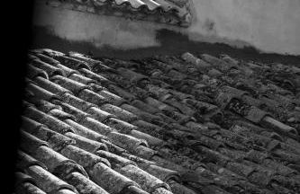 Dimora cAmelia - Foto 7