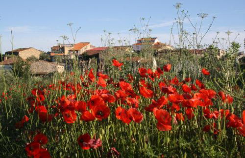 Casa de l Bárrio - Foto 13