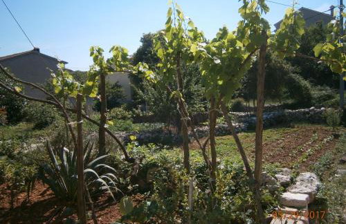 Holiday Home Loznati - Foto 45