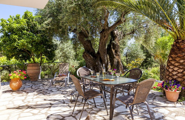 Ipsos Panoramic Views By Konnect - Foto 17