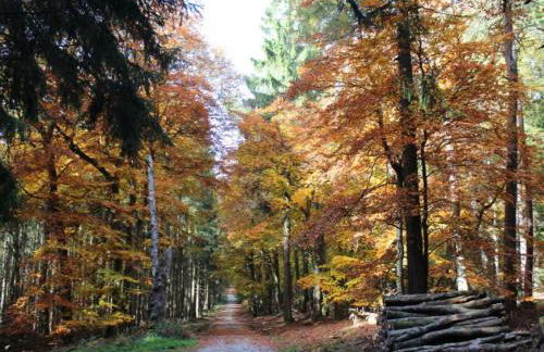 Ole Schün Dannau - Foto 40