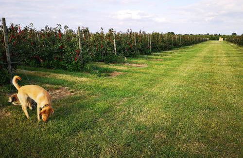 Apartment "Paris" - Photo 66