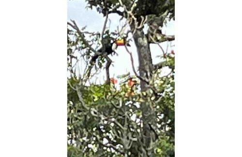 Grand Villela Home Stay - Espaço Inteiro - 32 pessoas - Lago Sul - Brasília-DF - Foto 76