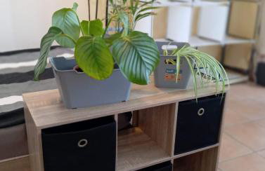 Helles Wohlfühl Apartment in Landshut Altdorf - Foto 35