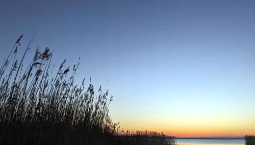 Bodden Breeze - Foto 5