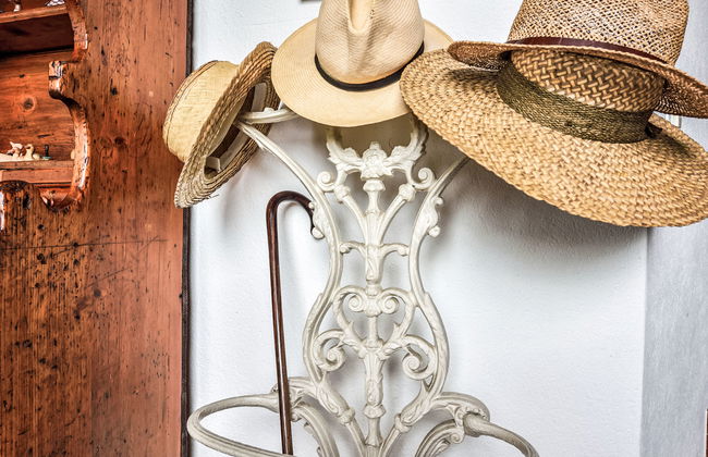 Duck House - Foto 13