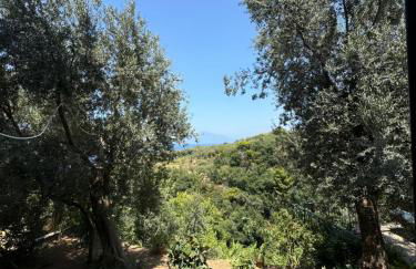 Villa Rosmary - Foto 79